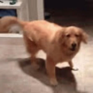 Meet your Posher, Diego